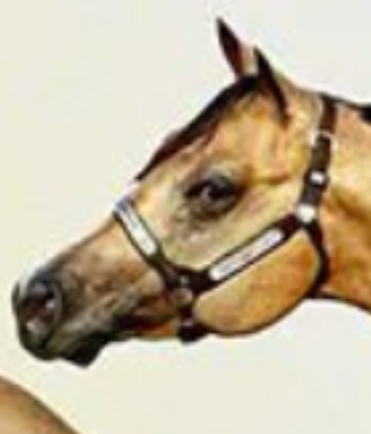 :kidslookintouchable: