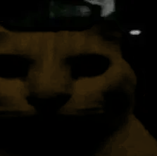 :niggauncannycat: :niggauncannycat: