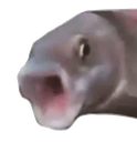 :pogfish: