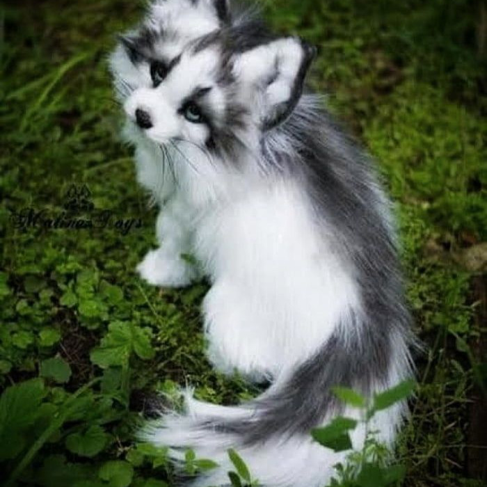 foxcat